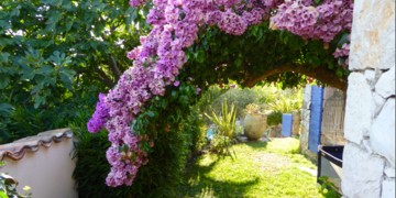 Grasse Mas Provençal