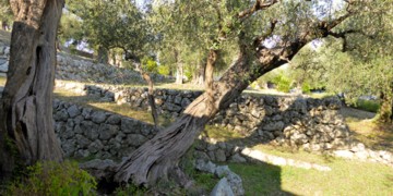 Grasse Mas Provençal